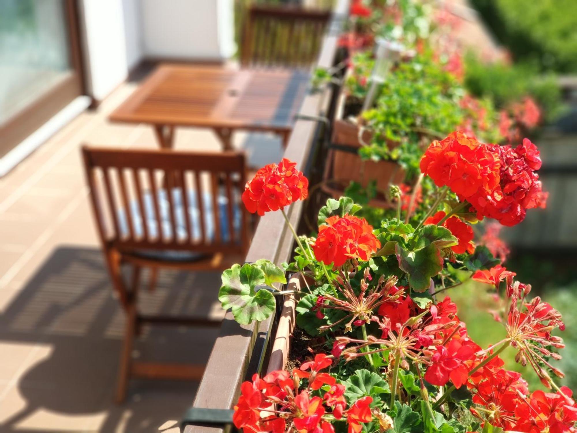 Amelie Apartments Porec Luaran gambar